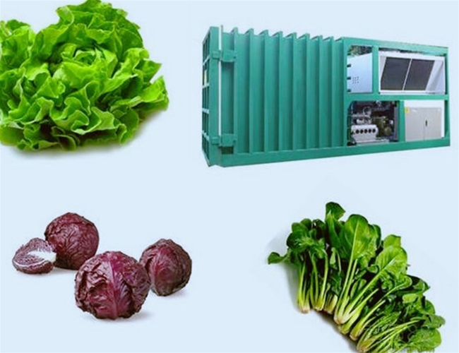 Fruit & Vegetable Vacuum Cooling Machine